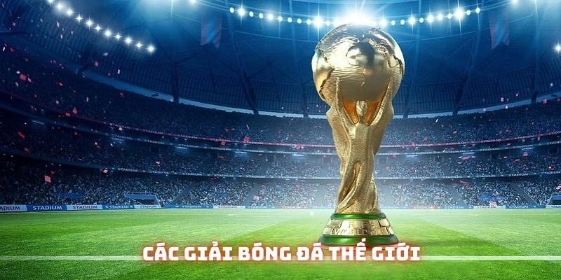 cac-giai-bong-da-the-gioi