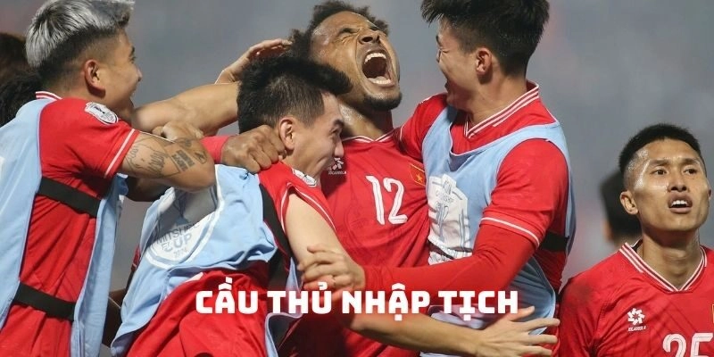 cau-thu-nhap-tich-dai-dien